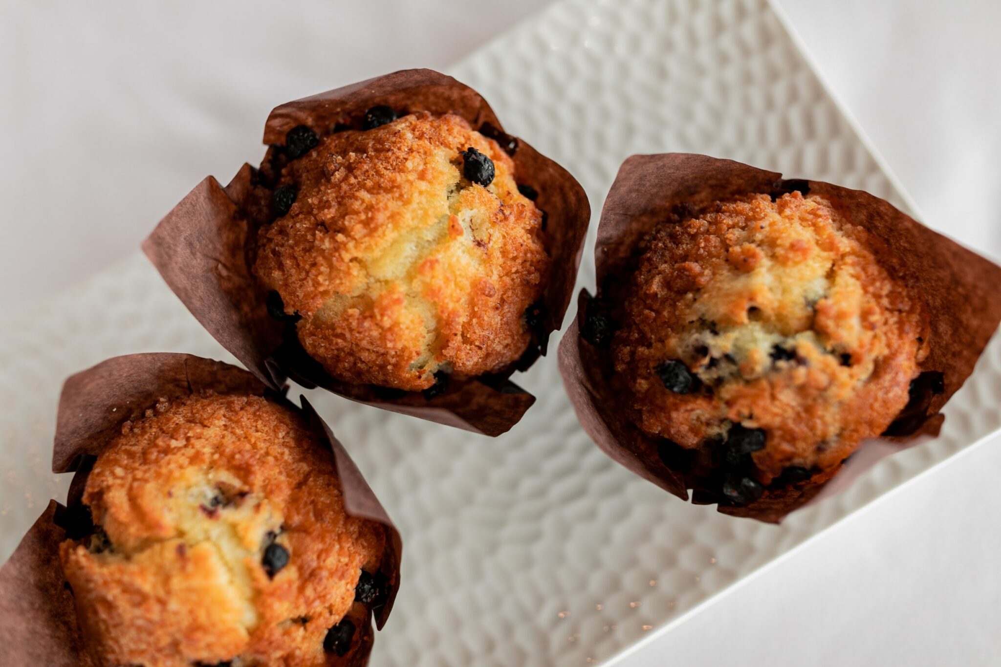 Saskatoon berry muffin Café Français